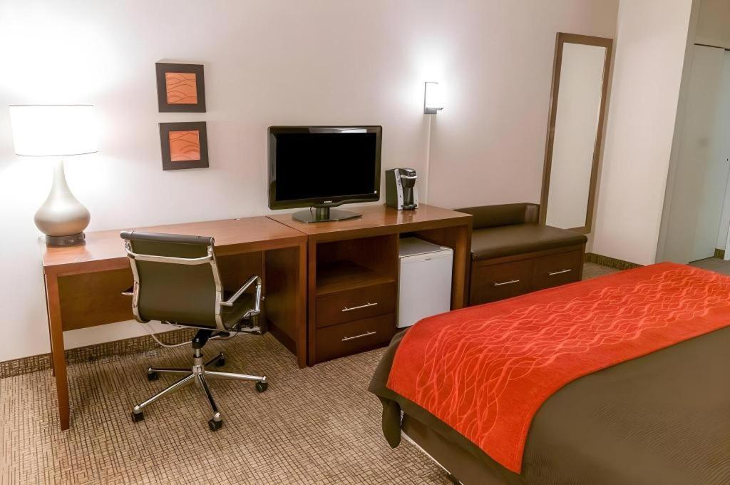 Comfort Inn Quantico Stafford Buitenkant foto