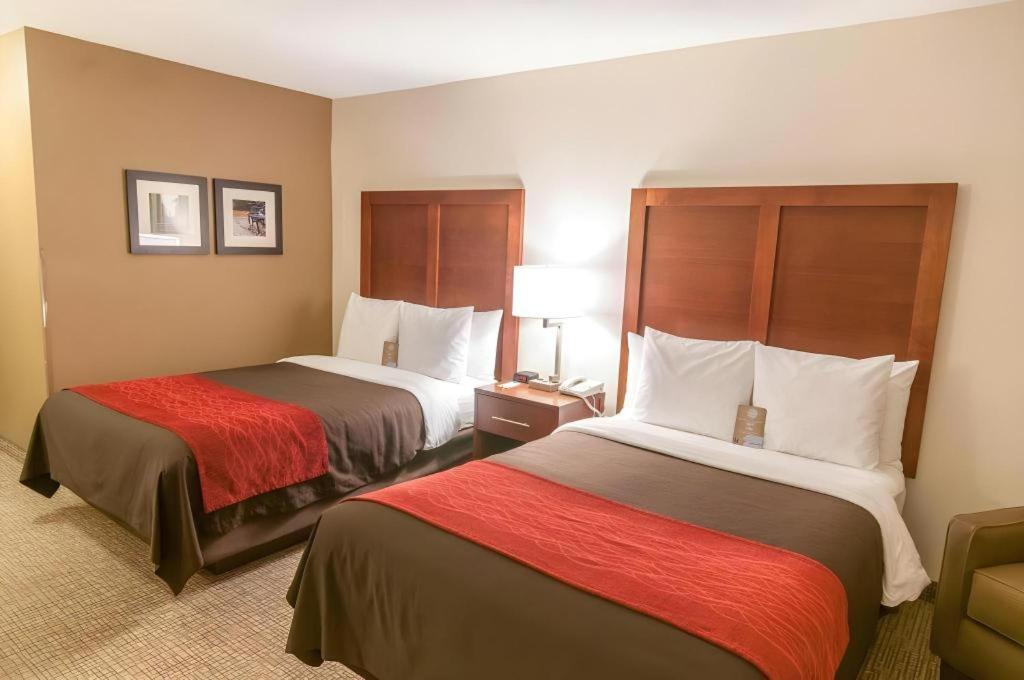 Comfort Inn Quantico Stafford Buitenkant foto