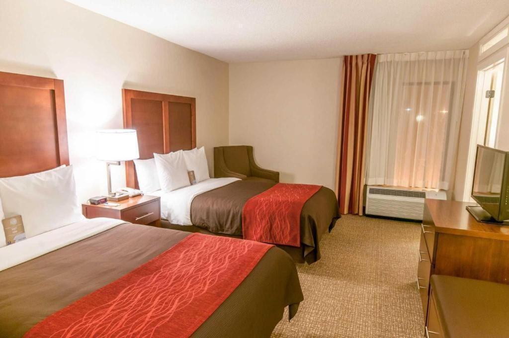 Comfort Inn Quantico Stafford Buitenkant foto